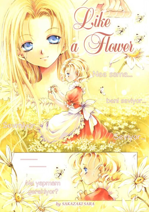 Cover of Like a Flower