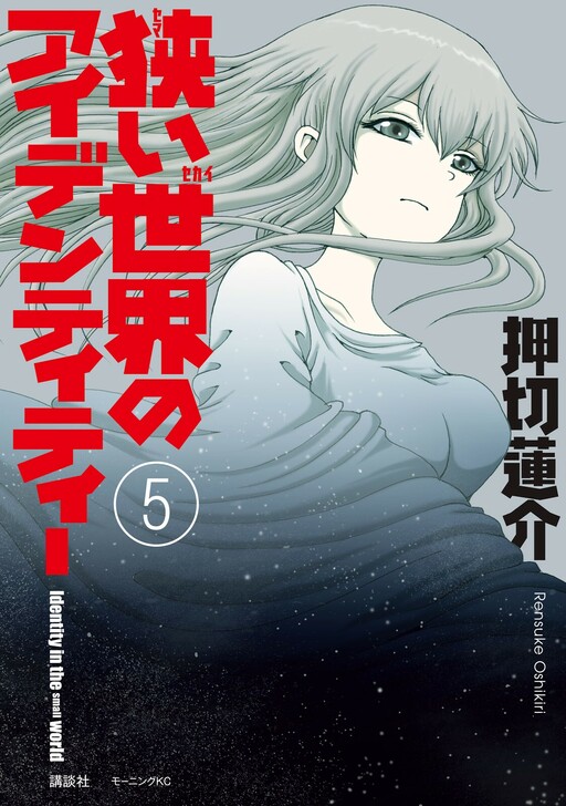 Cover of Identity in the Small World