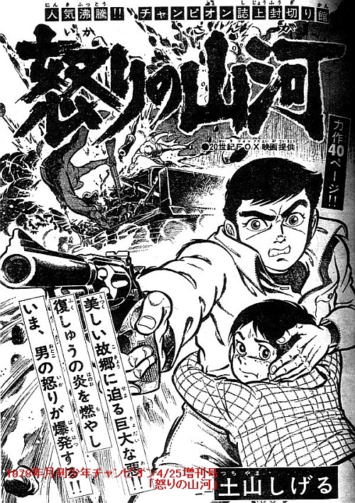 Cover of Fighting Mad