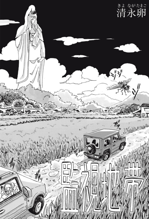 Cover of Surveillance Zone