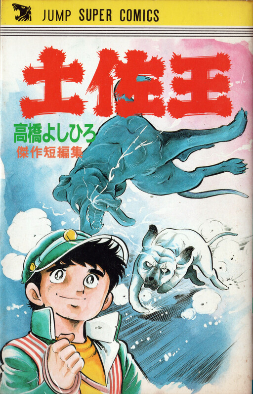 Cover of 土佐王