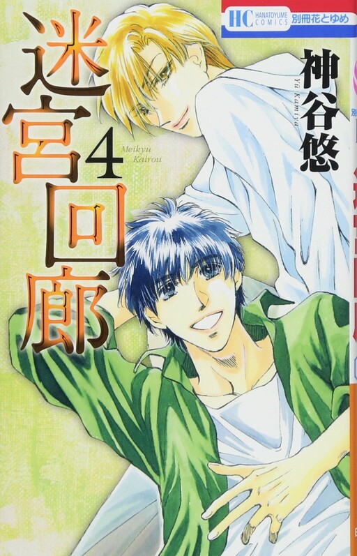 Cover of 迷宮回廊