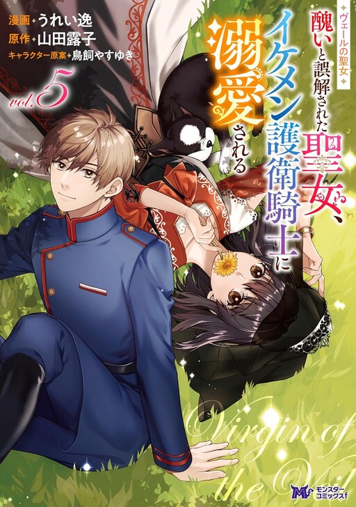 Cover of Veil no Seijo