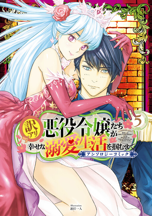 Cover of The Shadow Ladies' Journey to Happiness