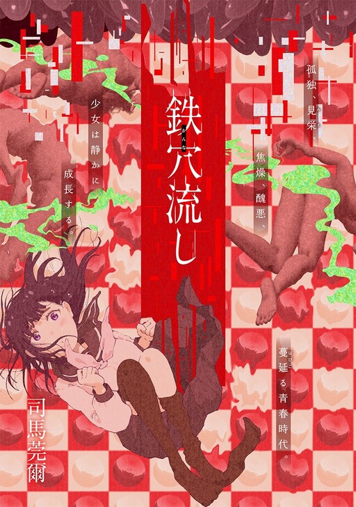 Cover of 鉄穴流し