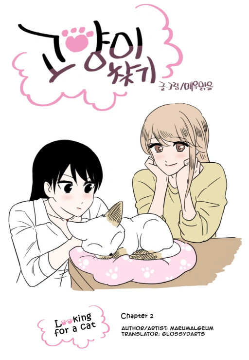 Cover of Looking for a Cat
