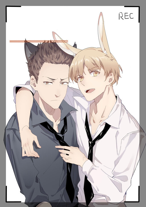 Cover of Picking Light