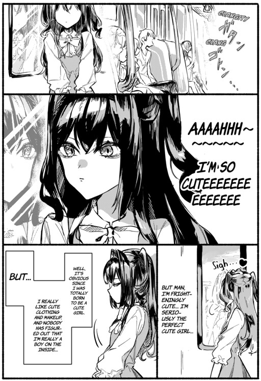Cover of Crossdressing Boy Riri-chan and Childhood Friend Megu-chan