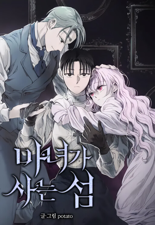 Cover of Witch's Island