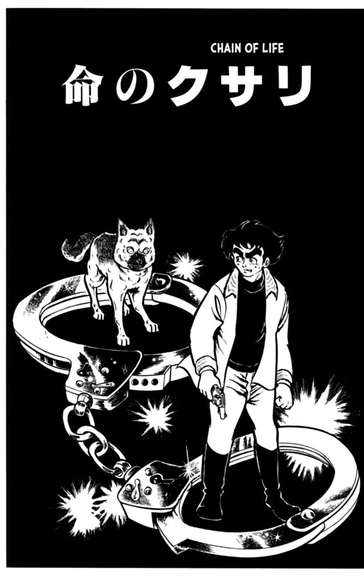 Cover of Chain of Life