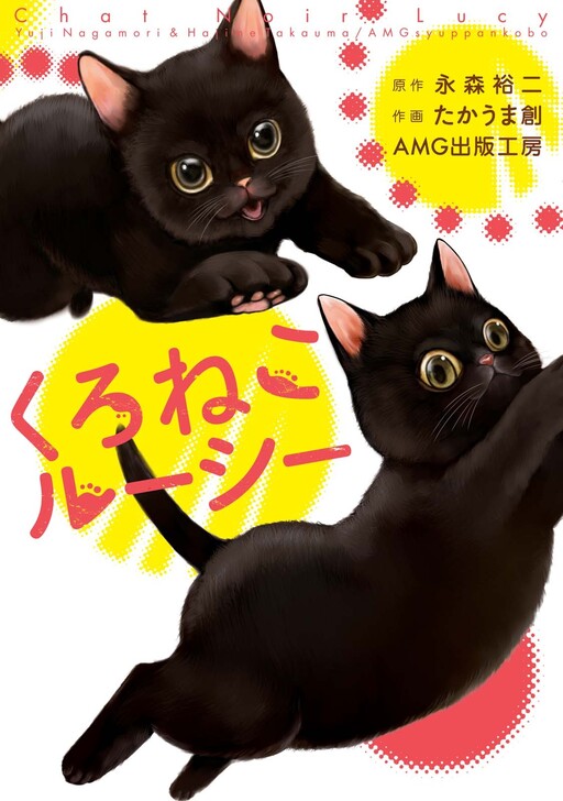 Cover of Chat Noir Lucy