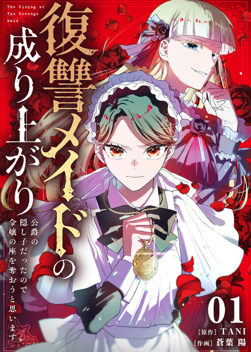 Cover of The Rising of the Revenge Maid