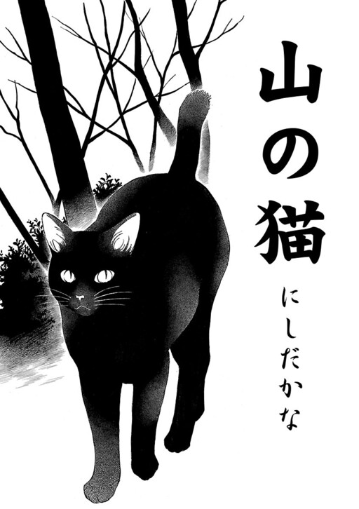 Cover of Mountain Cat