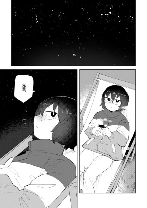 Cover of Leonids