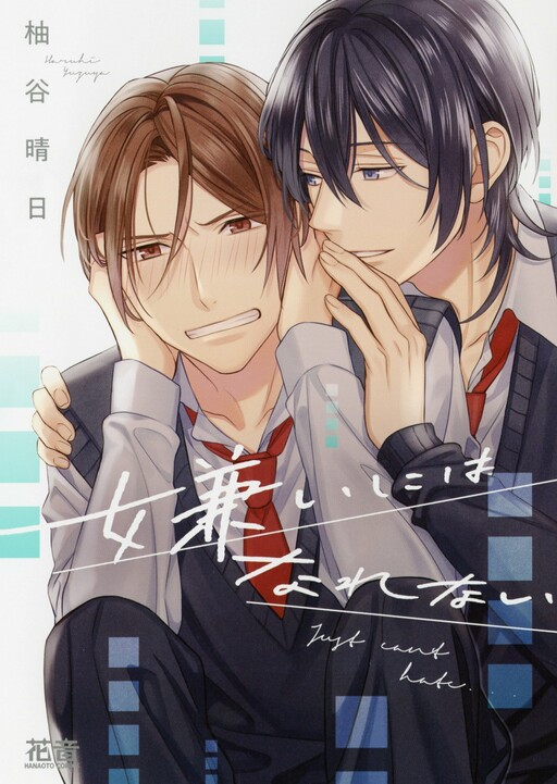 Cover of Kirai ni wa Narenai