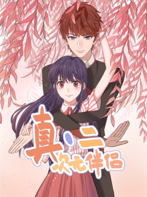 Cover of 2D Partner
