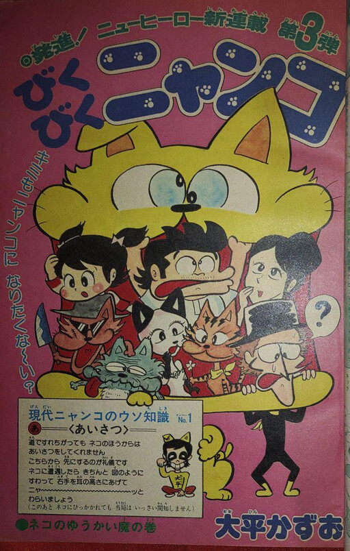 Cover of Jumpy Kitty