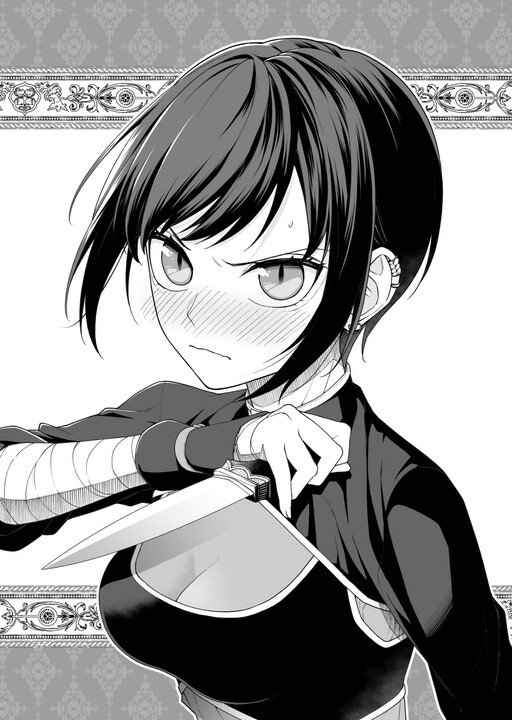 Cover of Ansatsu no Kimi wa Korosenai