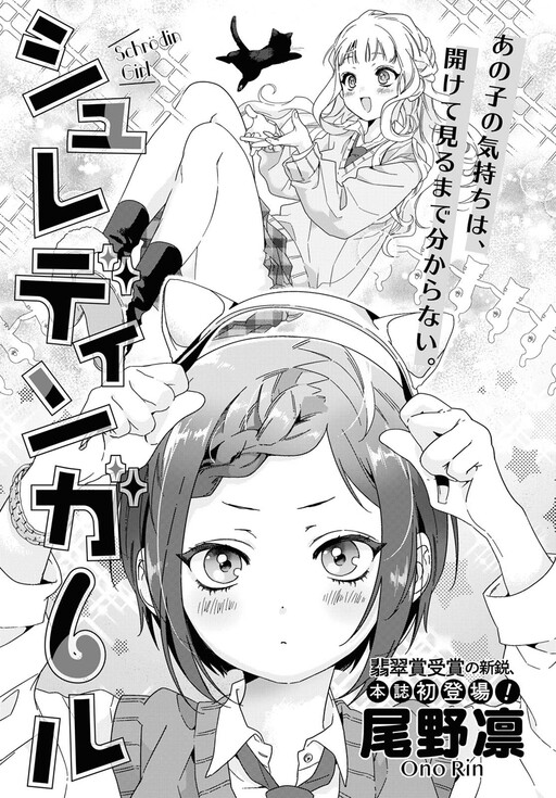 Cover of Schrödin Girl