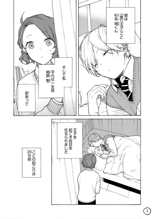 Cover of The Sleeping Prince and the Health Committee Member