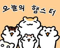 Cover of Today's Hamster