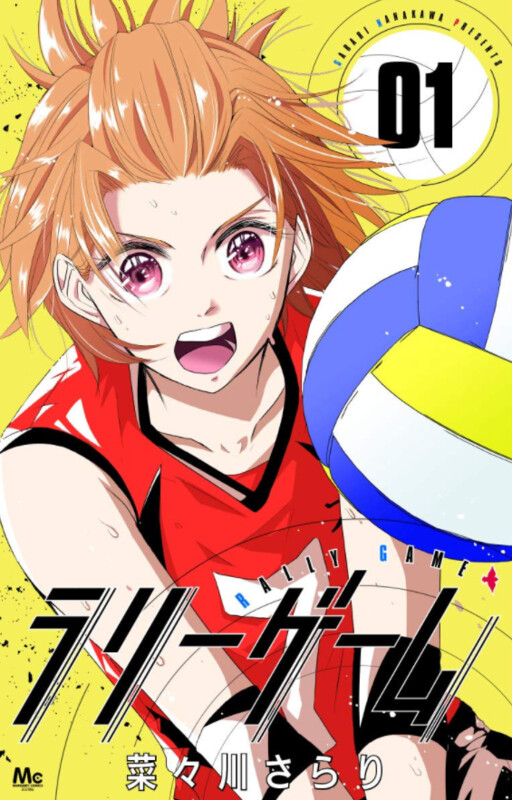 Cover of Rally Game