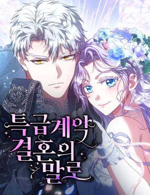 Cover of Vows and Vendettas