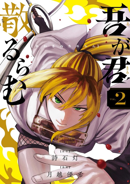 Cover of My Lord Shall Fall