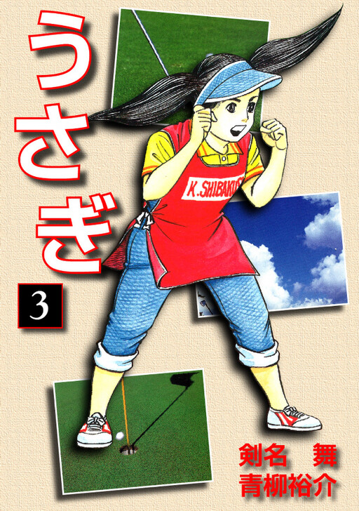 Cover of Rabbit