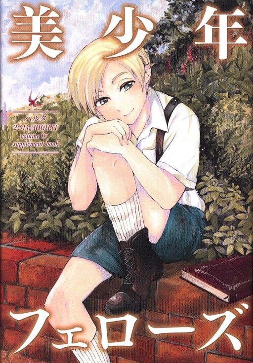 Cover of Beautiful Boy Fellows!