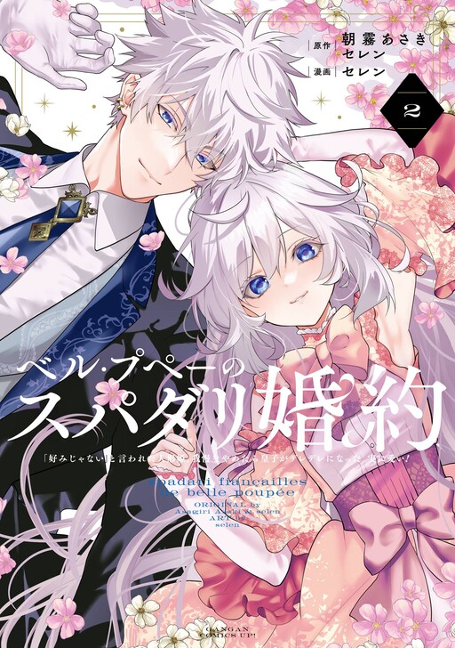 Cover of The Princess Groom
