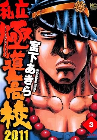 Cover of Private Yakuza High School 2011
