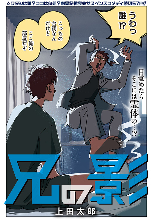 Cover of In My Brother's Shadow
