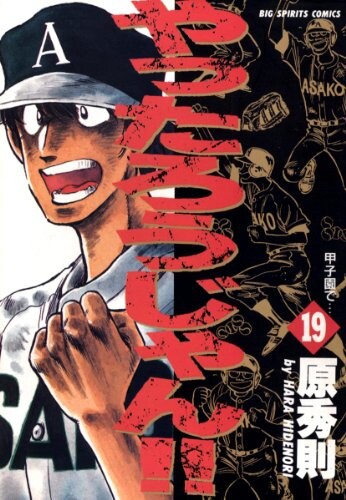 Cover of You did it!!