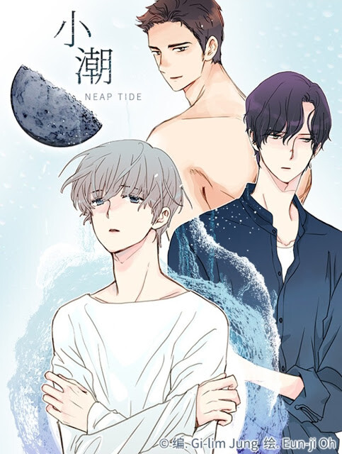 Cover of Neap Tide