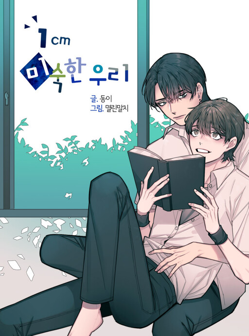 Cover of 1cm Inexperienced Us