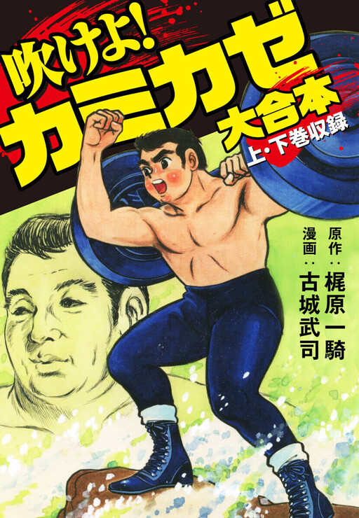Cover of Blow! Kamikaze