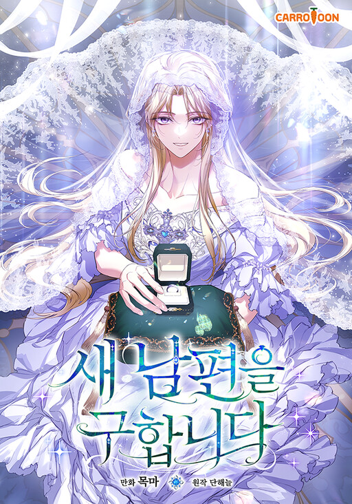 Cover of Looking for a New Husband