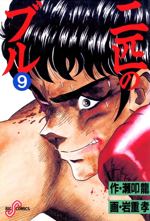 Cover of Two Bulls