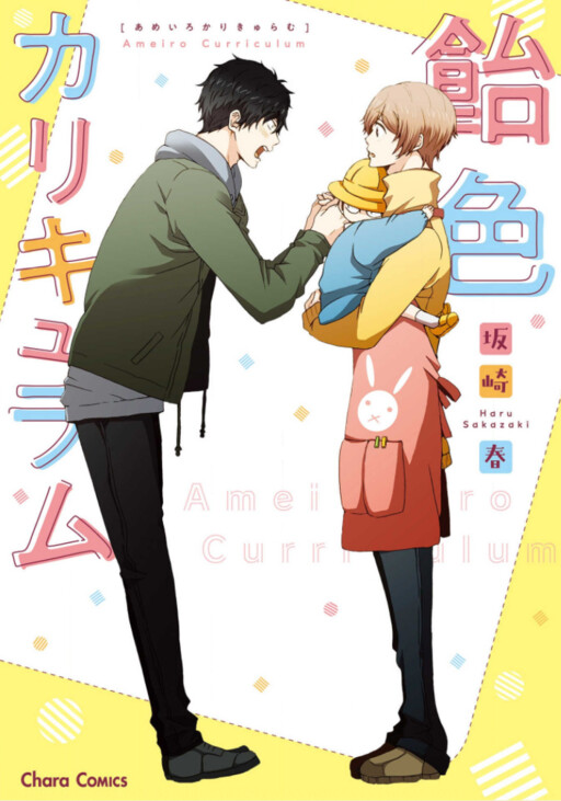 Cover of Ameiro Curriculum
