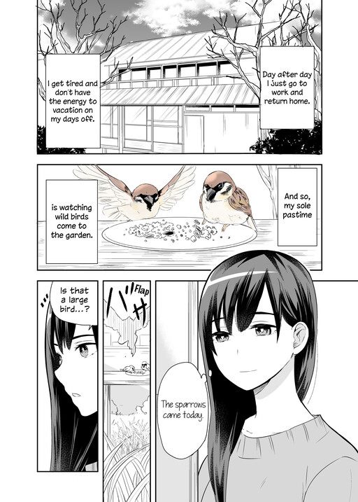 Cover of A Cute Bird Comes to an Office Lady Who Is Tired and Healed by Birdwatching
