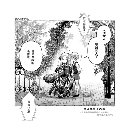Cover of An Angel Fell Into the Garden