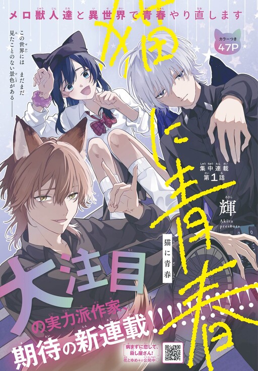 Cover of 猫に青春