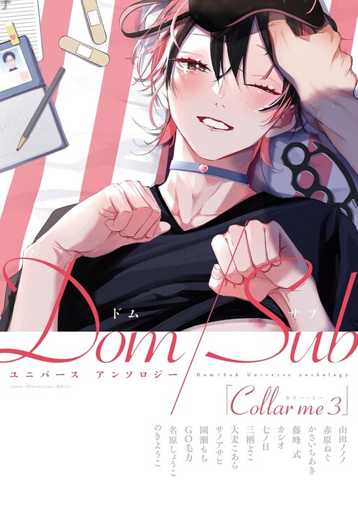Cover of Collar me Dom/Sub Universe Anthology